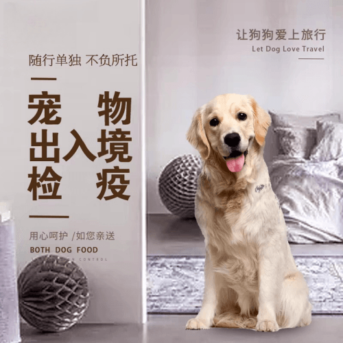 烟台市宠物托运到哥伦比亚猫狗宠物入境规定和