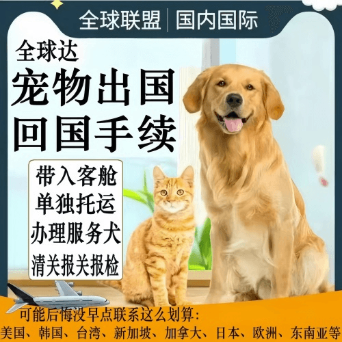烟台市宠物托运到柬埔寨宠物入境规定和要求