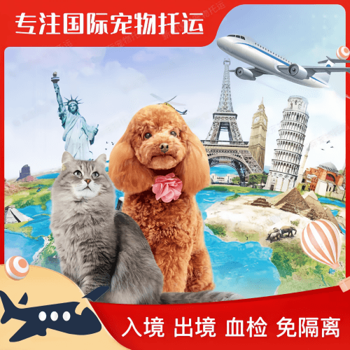 烟台市宠物托运到美国宠物入境最新规定和要求