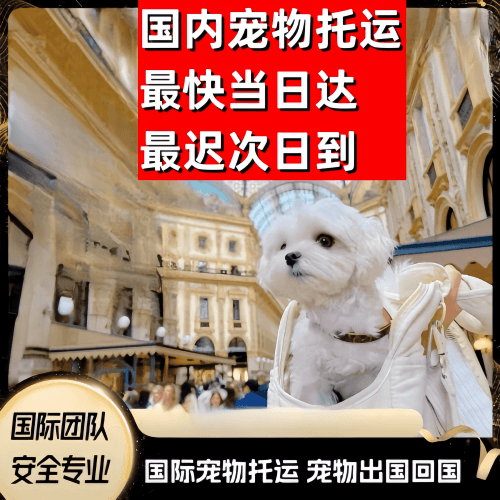 烟台市到澳大利亚（澳洲）宠物入境规定和要求